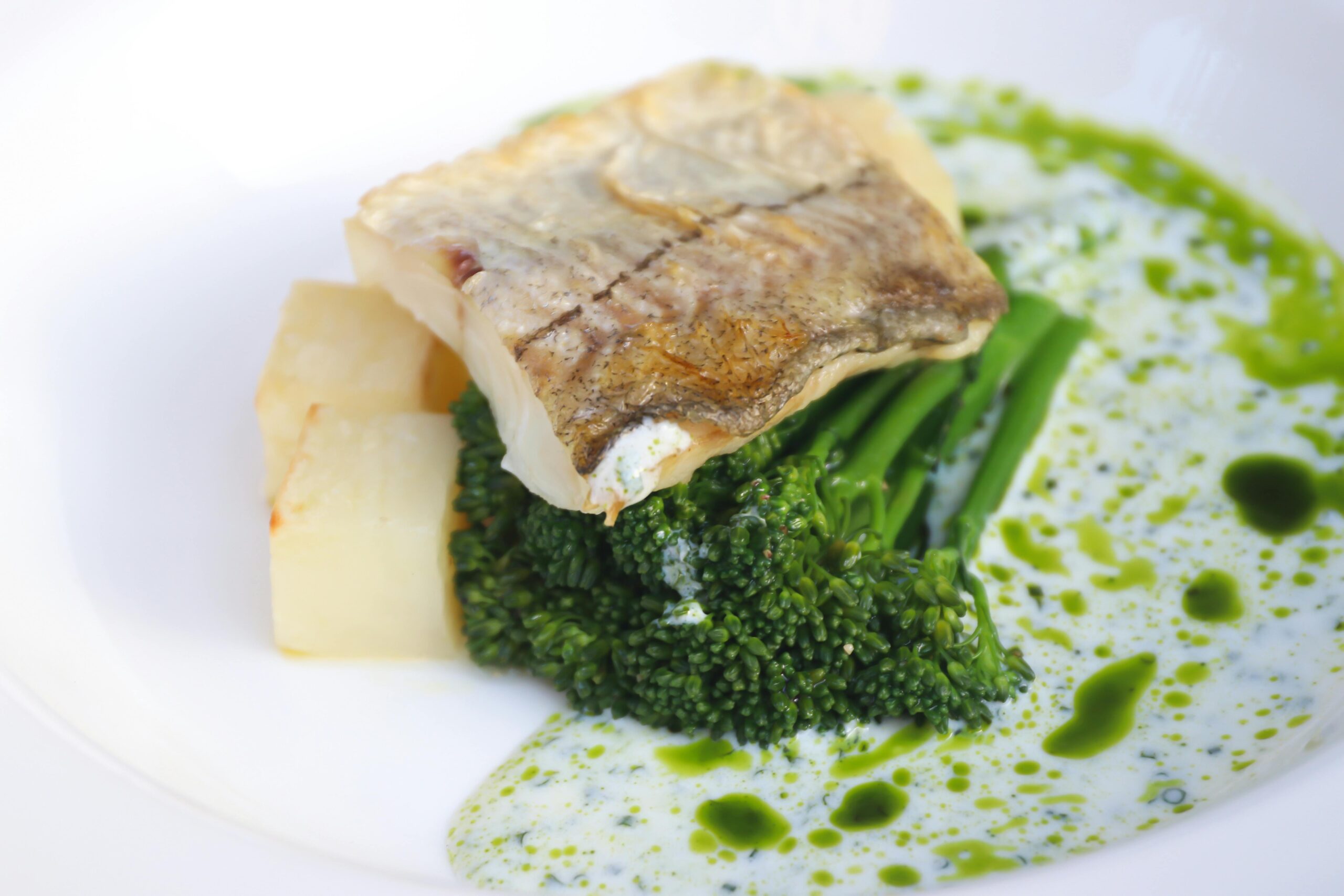 The Dubai Professional's Guide to High-Performance Nutrition